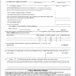 Free Affidavit Form Download Uk Form Resume Examples aEDv0l0O1Y