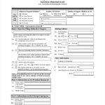 I 134 Sample Filled Form PDF Template