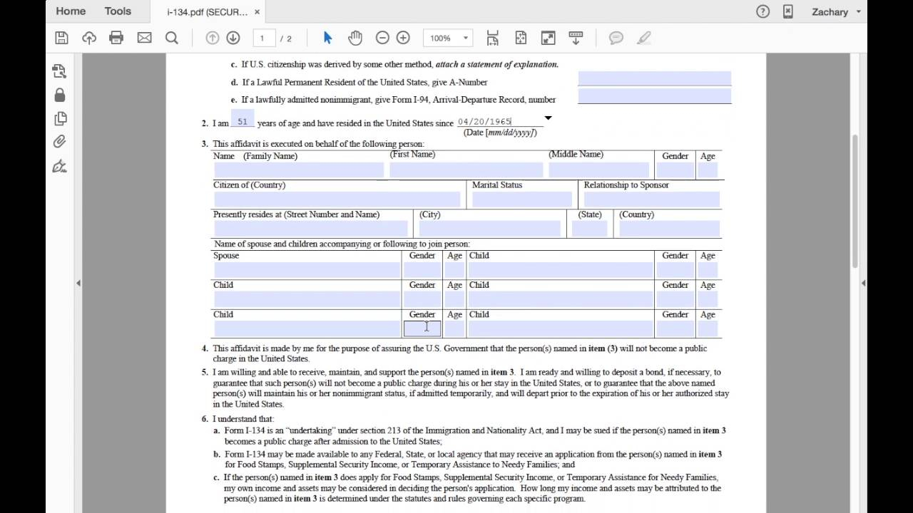 I 134 Sample Filled Form PDF Template