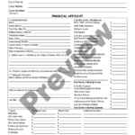 New Hampshire Financial Affidavit Financial Affidavit Nh US Legal Forms