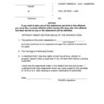 Pa Divorce Affidavit Under Section 3301 D Fill Online Printable