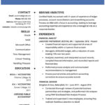 PROFESSIONAL ACCOUNTANT RESUME EXAMPLE Accountant Resume Accounting