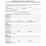 South Africa Parental Consent Affidavit Form Printable Pdf Download